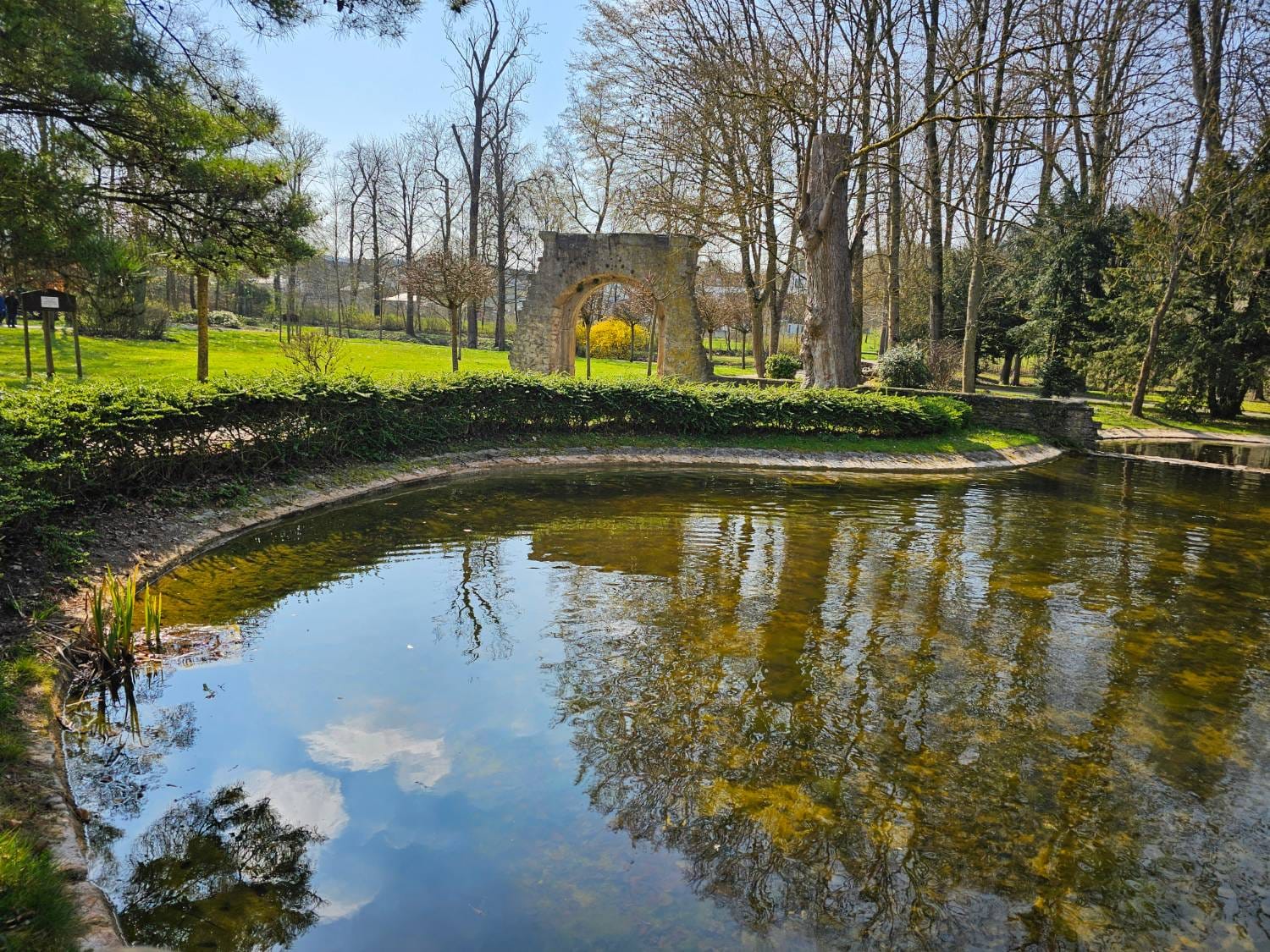 Der Schlossteich im Schlosspark Neckarbischofsheim